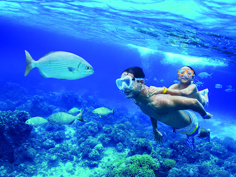 Columbia Reef – Cozumel Columbia Reef - Cozumel