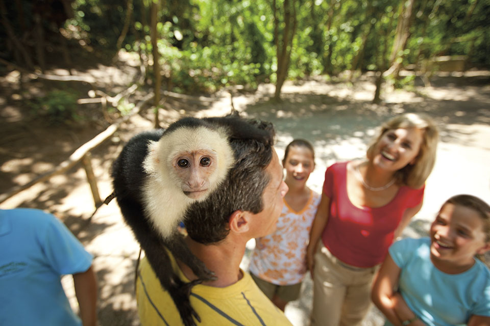 Monkey at Gumbalinda Park in Honduras on a Carnival Cruise