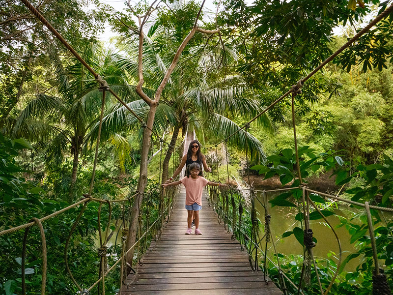 Suspension Bridge in Jungle of Roatán Suspension Bridge in Jungle of Roatán