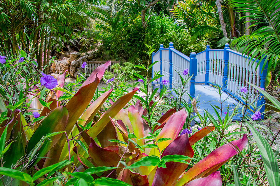 Botanical Garden on Grand Cayman Island