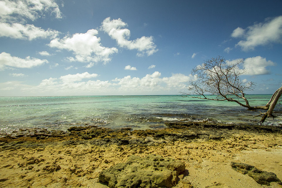 Buck Island Marine Reserve, St. Croix, U.S. Virgin Islands