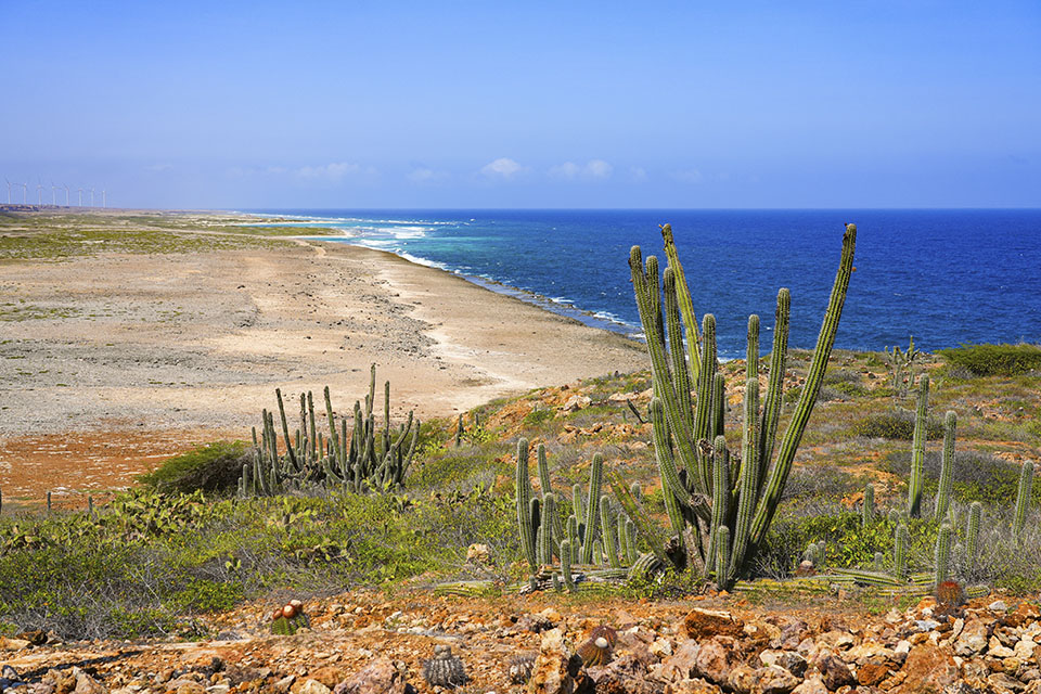 Desert Coastal Landscape of Sero Colorado in Aruba Desert Coastal Landscape of Sero Colorado in Aruba