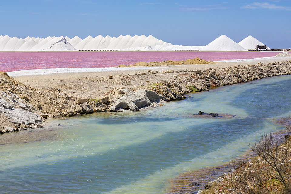 Pink Salt Lake and Mountains of Salt