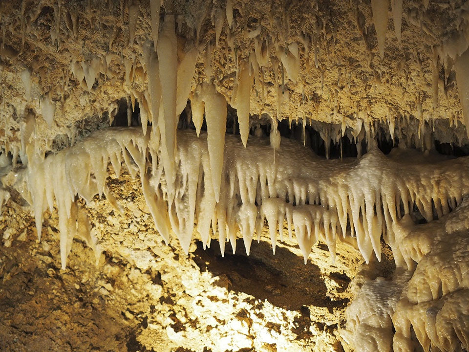Stalactites on the Cave Roof in Harrison's Cave, Barbados