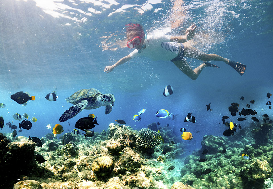 Woman Snorkeling